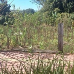 Terreno à venda na Belo Horizonte, 111, Centro, Barão de Antonina