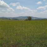 Terreno à venda na rua atrás da avenida brasília, 1010, Centro, Barão de Antonina