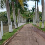 Fazenda à venda na RUA rural, 1020, Centro, Itapetininga