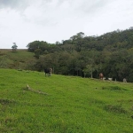 Chácara / sítio com 2 quartos à venda na Vicinal, 1020, Área Rural de Itapetininga, Itapetininga