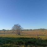 Fazenda à venda na Vicinal, 1020, Centro, Teodoro Sampaio