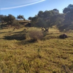 Terreno à venda na Antonio Paes  Ramal 1, 1, Caputera, Sorocaba