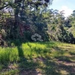 Terreno à venda, 1000m² por R$ 150.000,00 - Chácara Belvedere - Mairiporã/SP