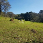 Terreno à venda, 6841m² e Fascinante vista do 'Por do Sol' por R$ 700.000 - Santa Inês - Mairiporã/SP