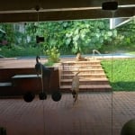 Linda Casa no Morumbi com Piscina - 520 m2