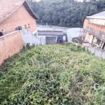 Terreno à venda, 250 m² por R$ 330.000,00 - Granja Carolina - Cotia/SP