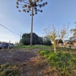 Terreno para alugar, 416 m² em frente a policia Federal por R$ 2.000/mês - Santa Cândida - Curitiba/PR