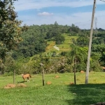 Terreno em condomínio fechado à venda na Estrada Sousas-Pedreira, Km 7, Sousas, Campinas
