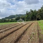 Chácara localizada entre Nova Petrópolis e  Gramado
