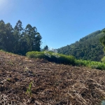 Chácara com vista e riacho na Serra Gaúcha
