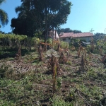 Terreno na Vila Germânia em Nova Petrópolis