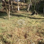 Terreno amplo