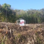 Terrenos 705 m² Loteamento no Bairro Piá