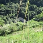 Terreno com vista para cascata em Nova Petrópolis na serra Gaúcha