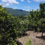 Terreno no bairro Pinho Alto em Nova Petrópolis