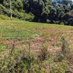 Terreno no bairro Pinhal Alto em Nova Petrópolis