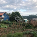 Terreno amplo em Nova Petrópolis em localização central.