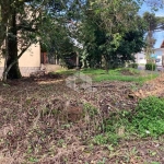 Terreno central