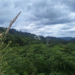 Área de terras com 9.800,00 m2 na serra gaúcha por R$ 901.000,00