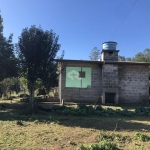 Belo Sitio em Linha Temerária
