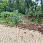 Terreno amplo