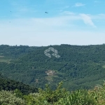 Excelente Chácara na Serra Gaúcha