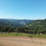 Chácara de 8000m² no interior de Nova Petrópolis no distrito de Pinhal Alto, serra gaúcha.
