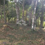 Excelente terreno amplo com boa frente