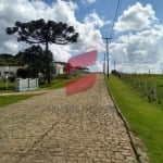 Terreno em condomínio fechado à venda na Rua Padre Phelippe Ledet, s/n, Planta Laranjeiras, Piraquara