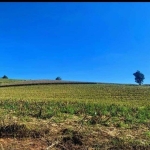 Imóvel para venda possui 500 metros quadrados em Centro - Mogi das Cruzes - SP