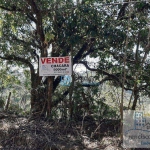 Terreno à venda, 5000 m² por R$ 190.000,00 - Freitas - São José dos Campos/SP