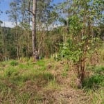 Terreno de 1000 metros Parque Florestal