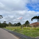 Terreno à venda na Rua Paraíso, 1150, Roseira de São Sebastião, São José dos Pinhais