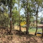 Terreno à venda, 3250 m² por R$ 385.000,00 - Vila Oásis - Ribeirão Pires/SP