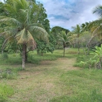 Terreno para Venda em Camaçari / BA no bairro Cajazeiras De Abrantes (abrantes)