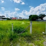 Terreno comercial à venda na Rua Rio Piraquara, 830, Weissópolis, Pinhais