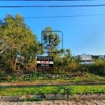 Terreno à venda na Rua dos Uararás, S/N, Jurerê Internacional, Florianópolis