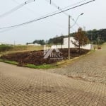 Terreno à venda na Estrada Municipal Avelina Tomazzoni Piccoli, 1, Monte Bérico, Caxias do Sul