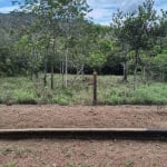 OPORTUNIDADE CHÁCARA EM CALDAS NOVAS, Área: 1.550m², Escriturada, área verde, serra de Caldas