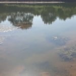 Fazenda à venda na Zona Rural, 101, Zona Rural, Cocalzinho de Goiás