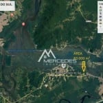 Terreno à venda, 65789 m² por R$ 5.265.000,00 - Iperoba - São Francisco do Sul/SC