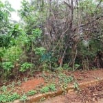 Terreno à venda, 1000 m² por R$ 295.000,00 - Lagoa Mansões - Lagoa Santa/MG