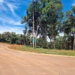 Terreno à venda, 374 m² por R$ 170.000,00 - Aeronautas - Lagoa Santa/MG