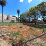 Lote para alugar, 438 m² por R$ 853/mês - Vila Santa Cecilia - Lagoa Santa/MG