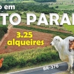 SÍTIO À VENDA EM ALTO PARANÁ - PR