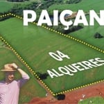 SÍTIO DE 04 ALQUEIRES EM PAIÇANDU