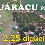 SÍTIO EM IGUARAÇU com 2,25 alqueires