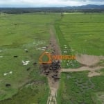 Fazenda para venda em Registro