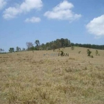 Terreno Residencial à venda, Centro, Itupeva - TE0057.