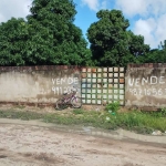 Terreno à venda em Nova Esperança